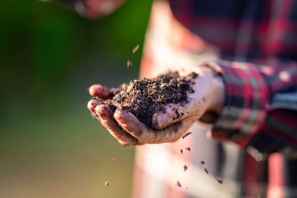 mano de agricultor con tierra